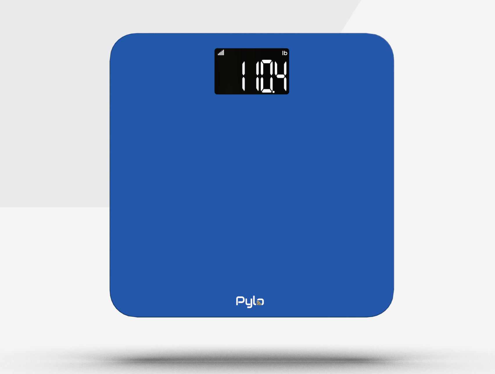 Pylo 200 weight scale